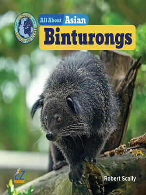 cover image of All About Asian Binturongs